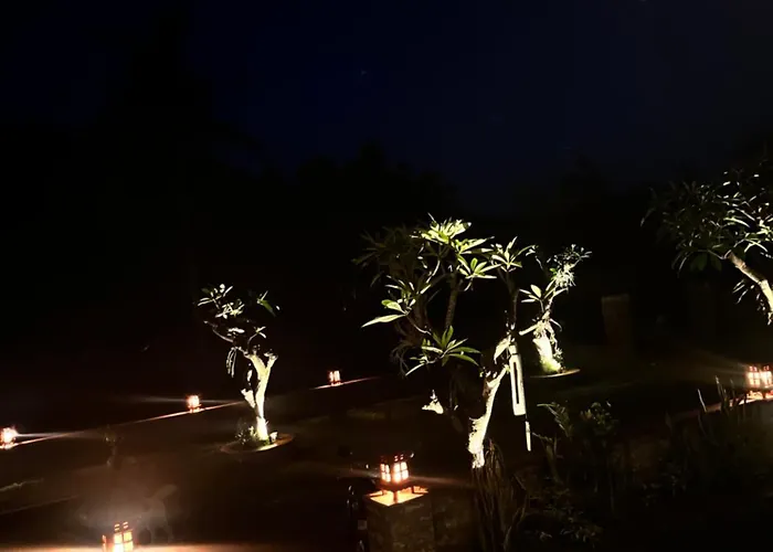 营地 Bali Dreams *